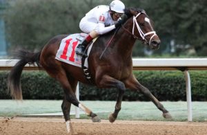 Top Kentucky Derby Contender One Liner winning the Southwest Stakes