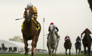 Wise Dan race record racehorse Shadwell Mile