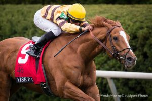 Wise Dan racehorse winning Makers Mile two time horse of the year