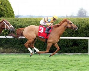 Wise Dan race record racehorse Makers 46 Mile