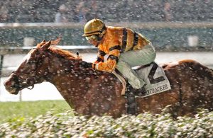 Wise Dan race record Racehorse Firecracker Stakes 2013