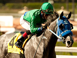 horse racing betting and info, how to pick Kentucky Derby Winner